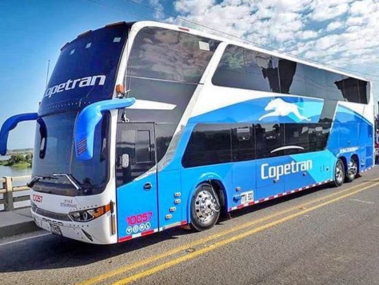 Buses Bucaramanga